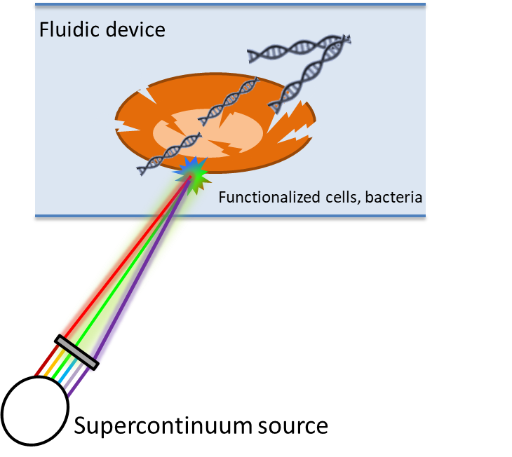 Illustration of a tunable light source and plasmonics for selective, on-chip lysing of bio-organisms